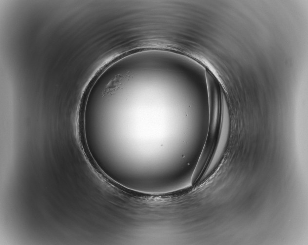 X0000093741139200710161134