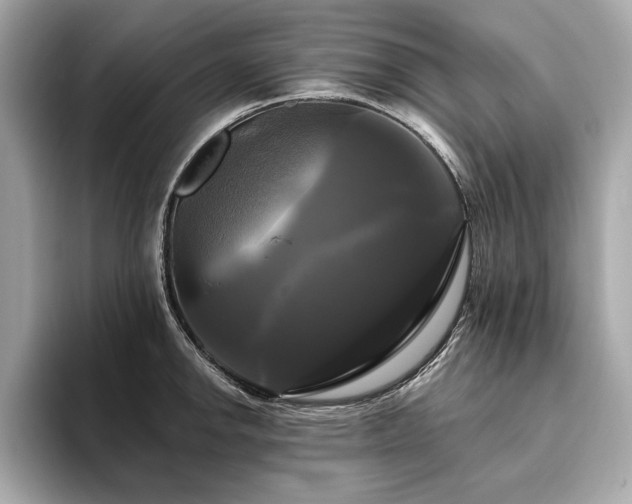 X0000093741142200710161134