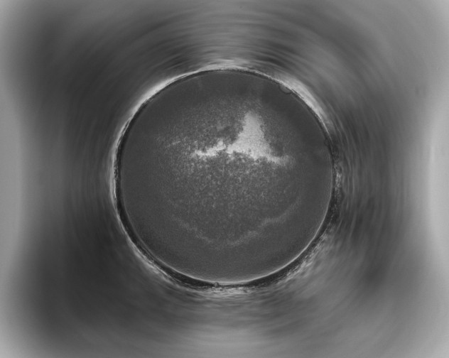 X0000093741143200710161134
