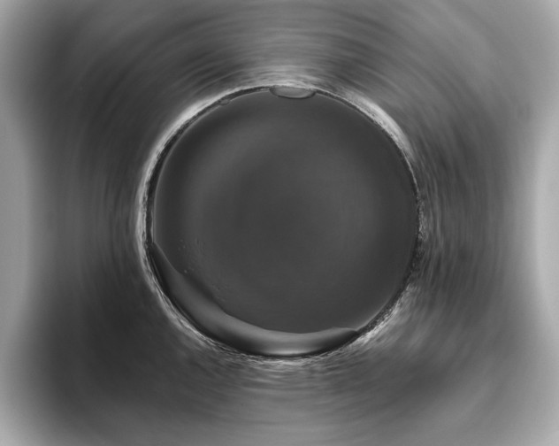 X0000093741144200710161134