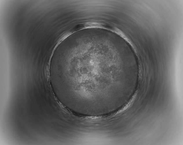 X0000093741145200710161134