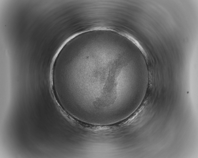 X0000093741148200710161134