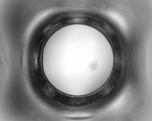 X0000093741150200710161134