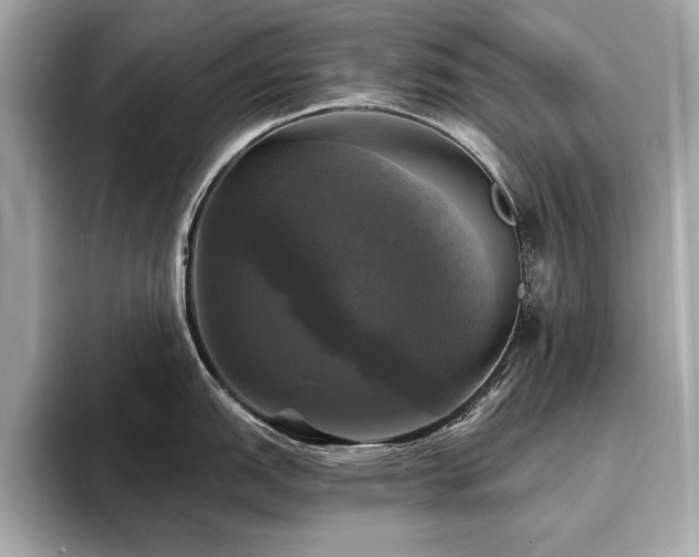 X0000093741151200710161134