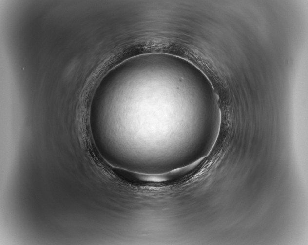 X0000093741153200710161134