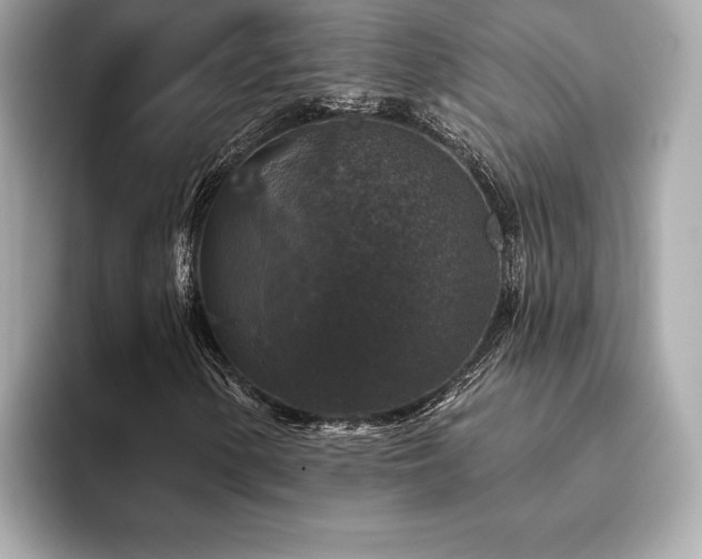X0000093741154200710161134