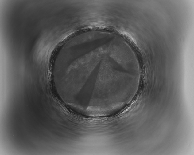 X0000093741159200710161134