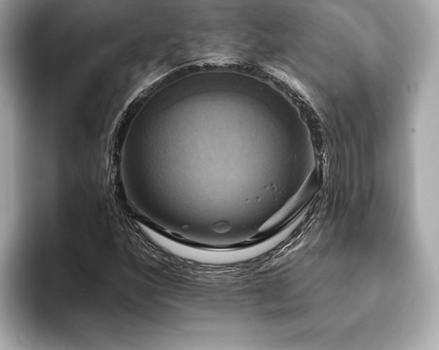 X0000093741160200710161134