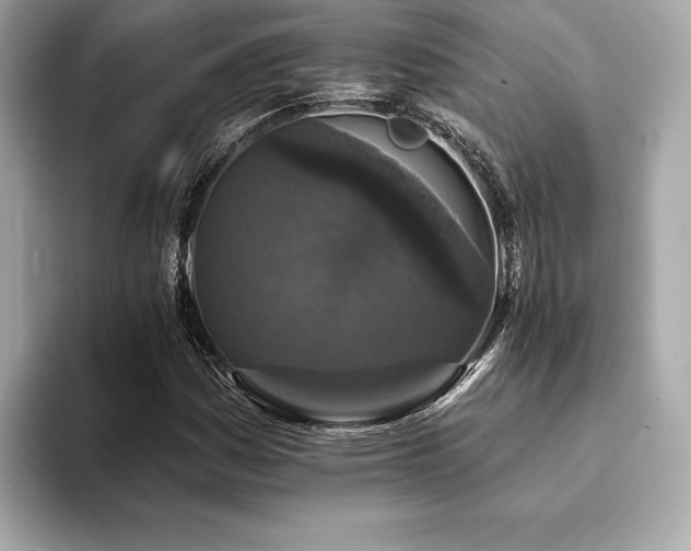 X0000093741161200710161134