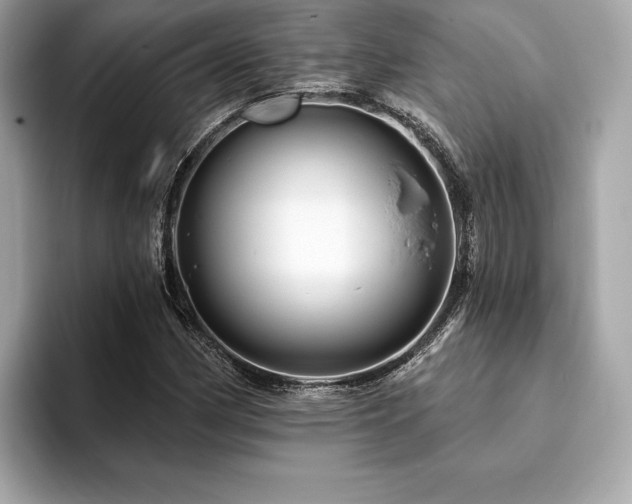 X0000093741162200710161134