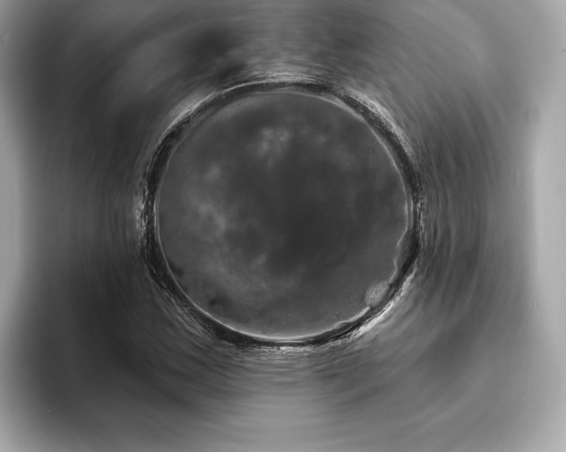 X0000093741163200710161134