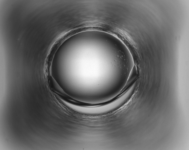 X0000093741164200710161134