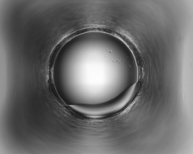 X0000093741165200710161133