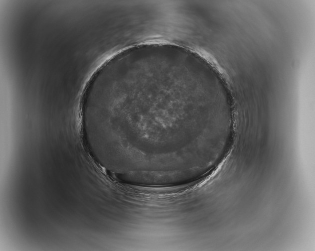 X0000093741167200710161133