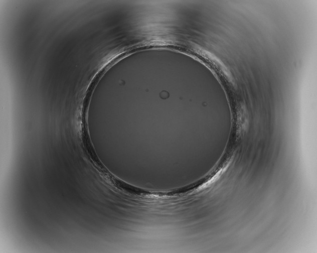 X0000093741170200710161133