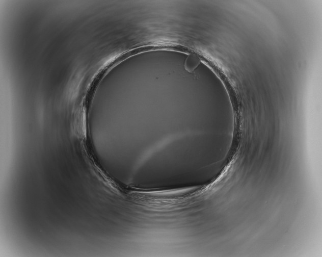 X0000093741171200710161133
