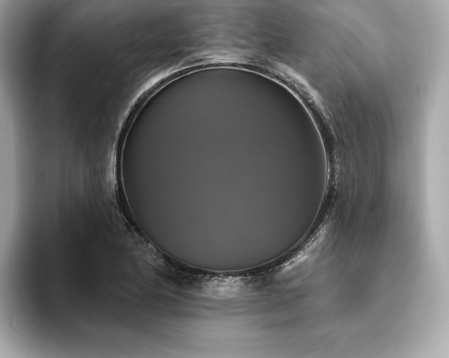 X0000093741174200710161133