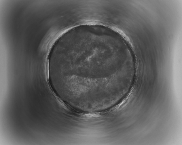 X0000093741175200710161133