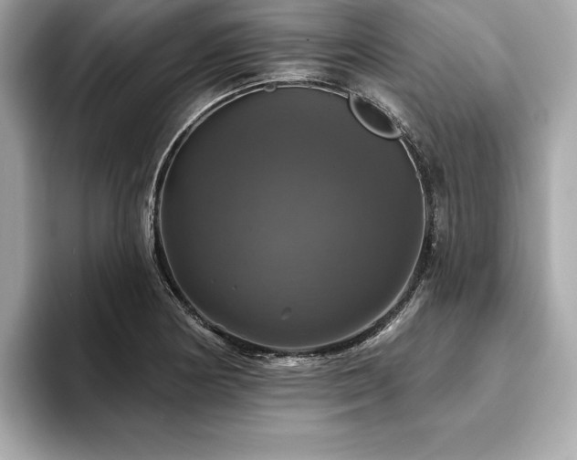 X0000093741178200710161133