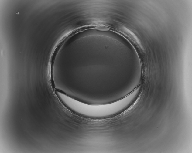 X0000093741180200710161133