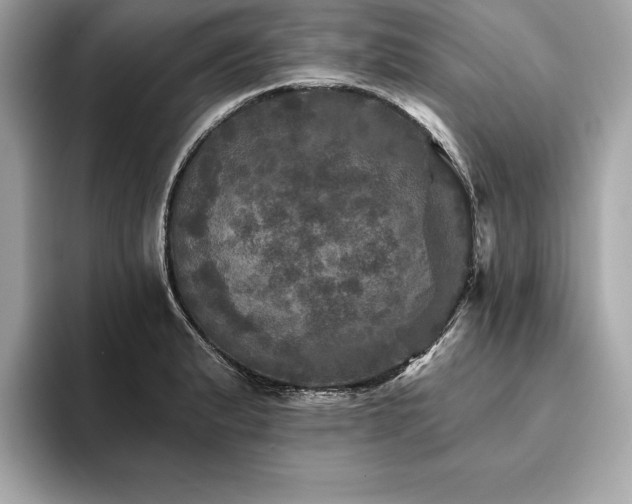X0000093741183200710161133