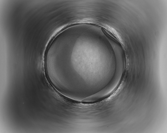 X0000093741184200710161133