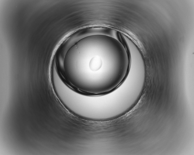 X0000093741188200710161133