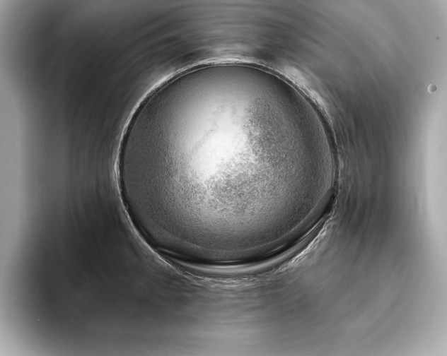 X0000093741189200710161133