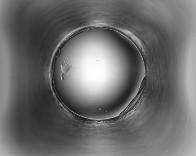 X0000093741191200710161133