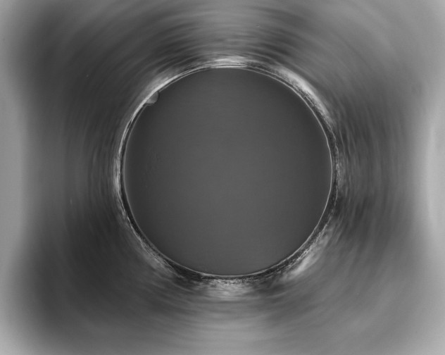 X0000093741194200710161133