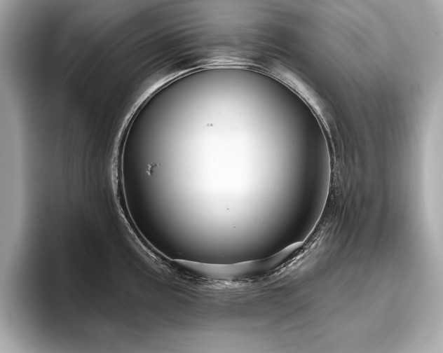 X0000093741195200710161133