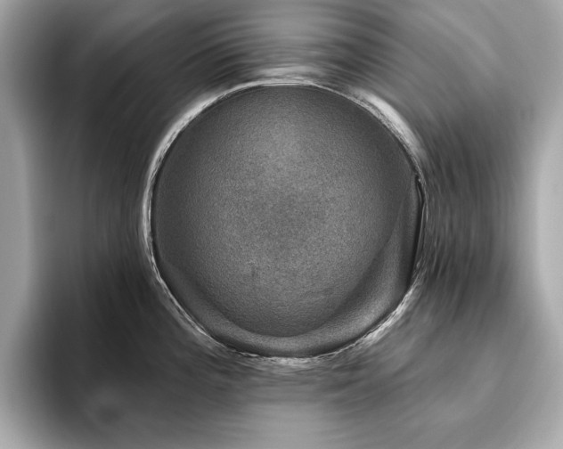 X0000093741196200710161133