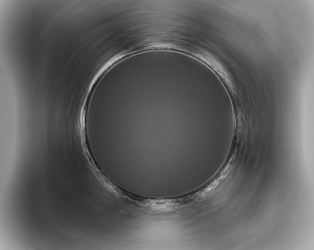 X0000093741198200710161133