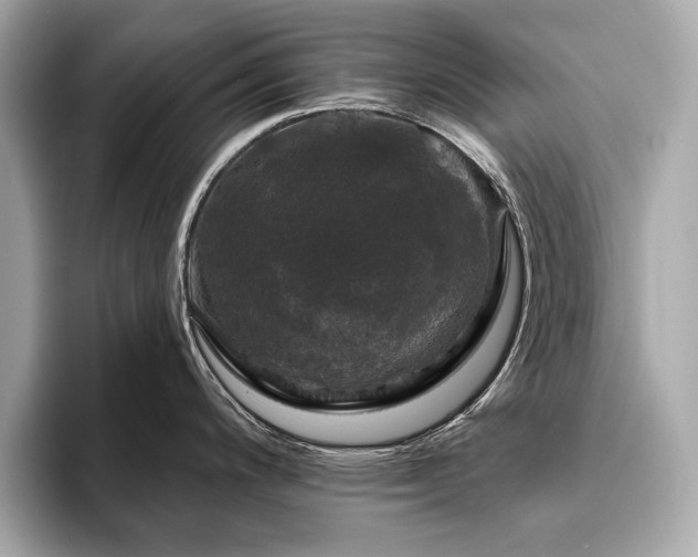 X0000093741200200710161133