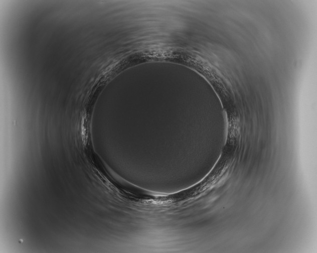 X0000093741202200710161133