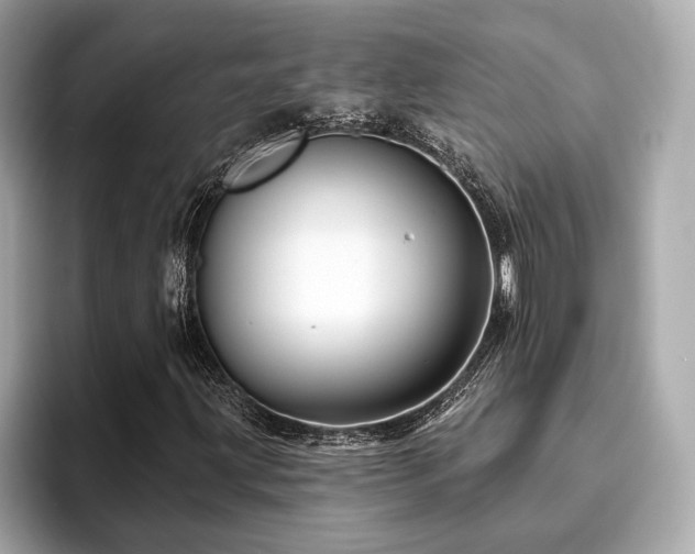 X0000093741203200710161133