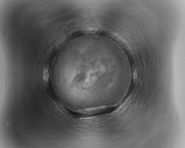 X0000093741204200710161133