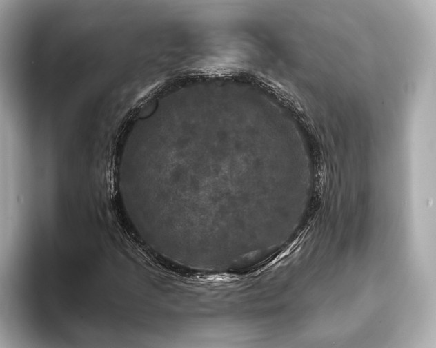 X0000093741205200710161133