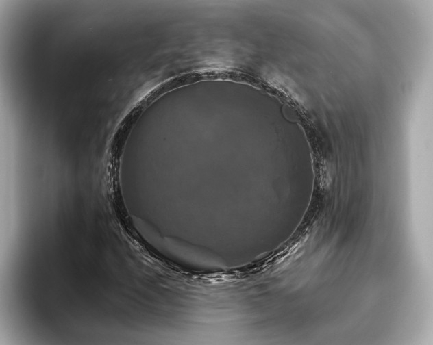 X0000093741208200710161133