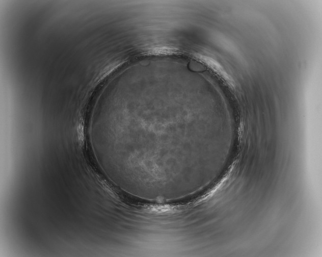 X0000093741209200710161133