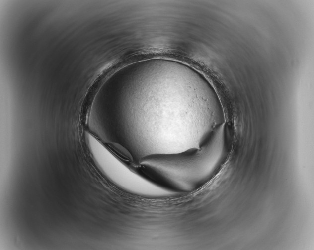 X0000093741210200710161133