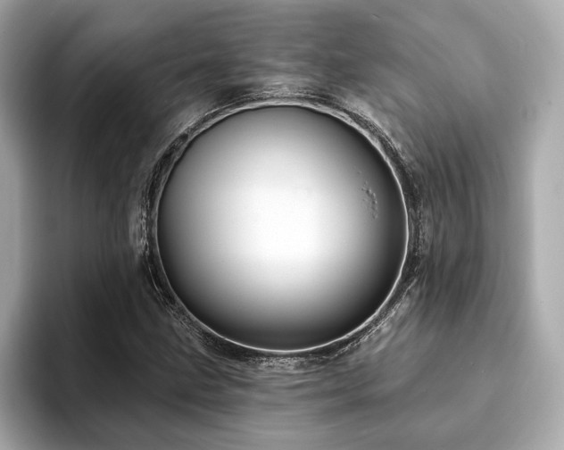 X0000093741211200710161133