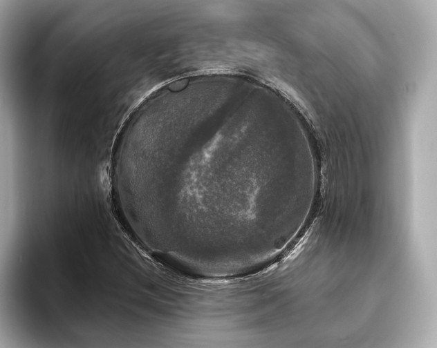 X0000093741212200710161133