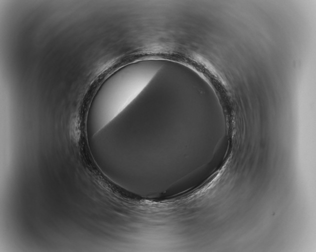 X0000093741213200710161133