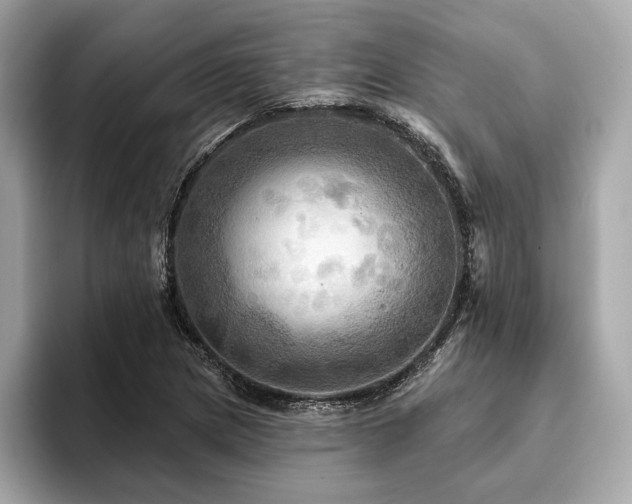 X0000093741217200710161133