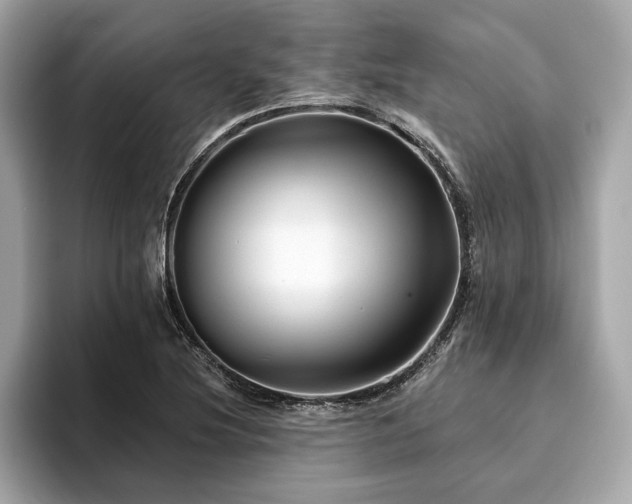 X0000093741220200710161133