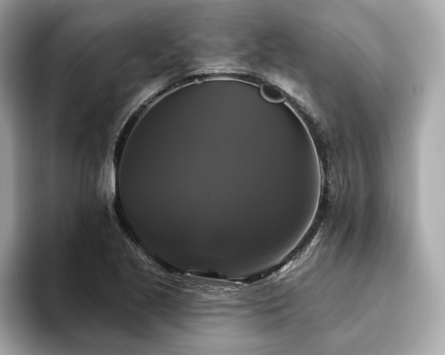 X0000093741221200710161133