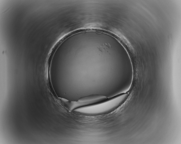 X0000093741224200710161133