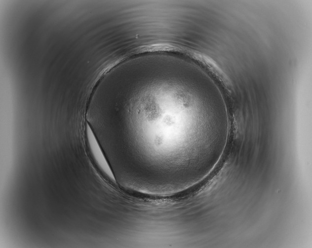 X0000093741225200710161133