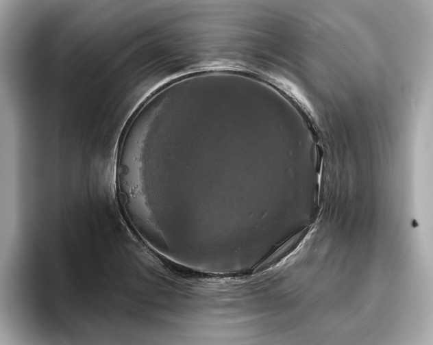 X0000093741228200710161133